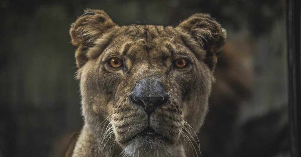 现代农业的隐形动脉：滴灌带如何重塑节水灌溉新格局