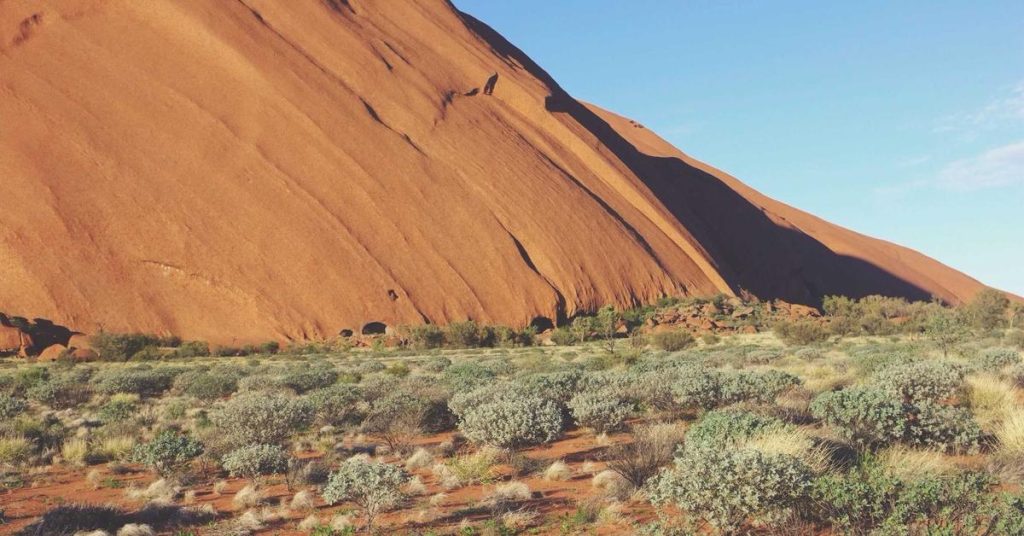 精准滋养：现代滴灌技术如何重塑农业与生态