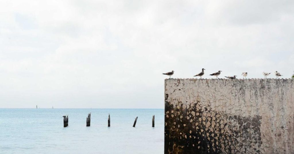 现代农田的智慧之雨：高效喷灌系统的原理与应用
