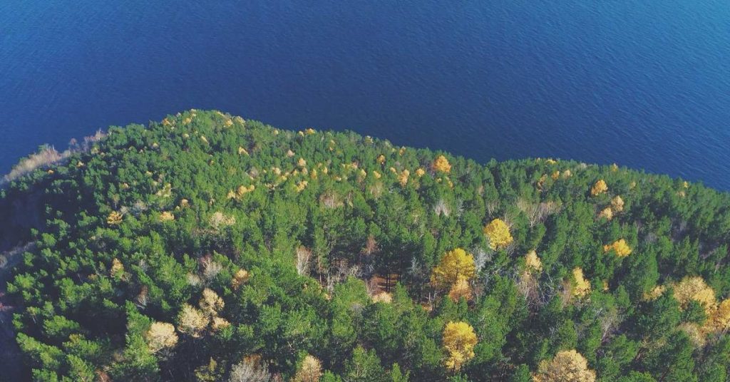 高效节水农业的隐形动脉：滴灌带技术深度解析