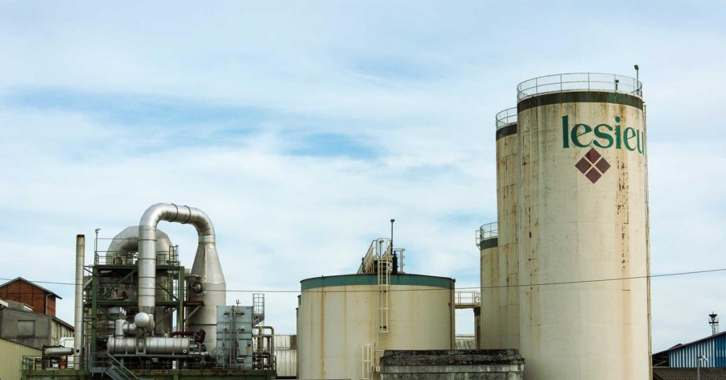 精准滋养：现代滴灌技术如何重塑农业与生态