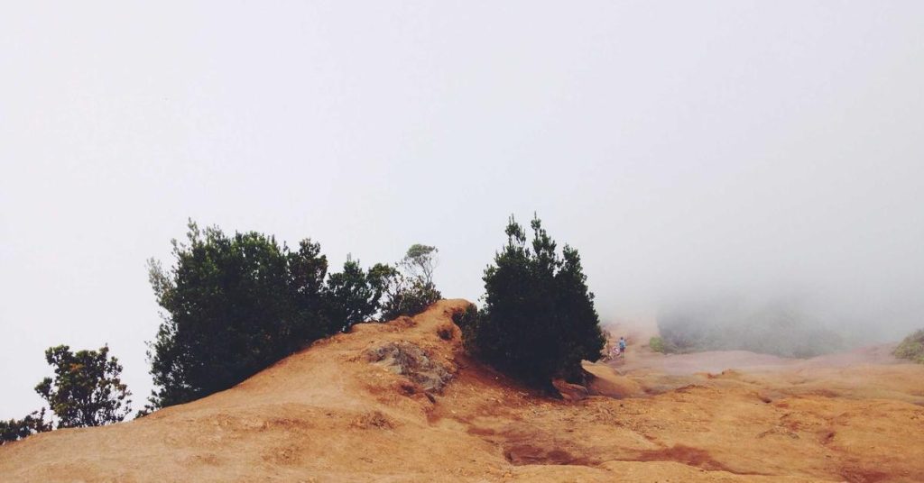 现代农业的智慧之雨：高效喷灌系统的应用与选择指南