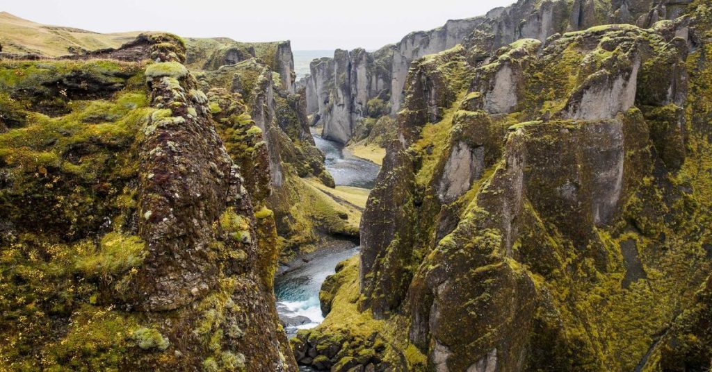 精准润物细无声：现代滴灌技术如何重塑农业未来