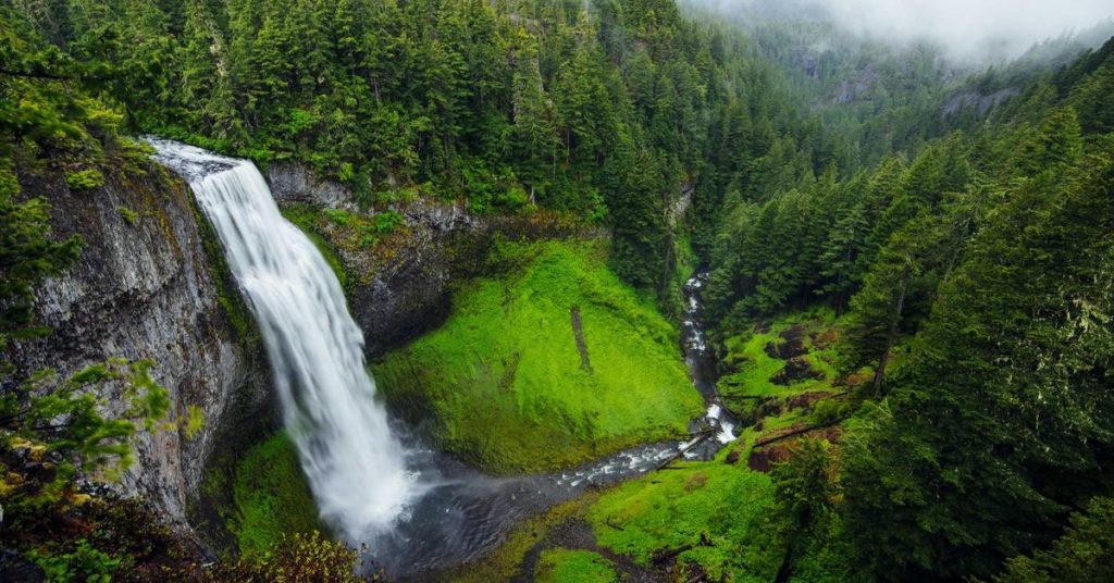从荒漠到绿洲：高效节水农业背后的智慧