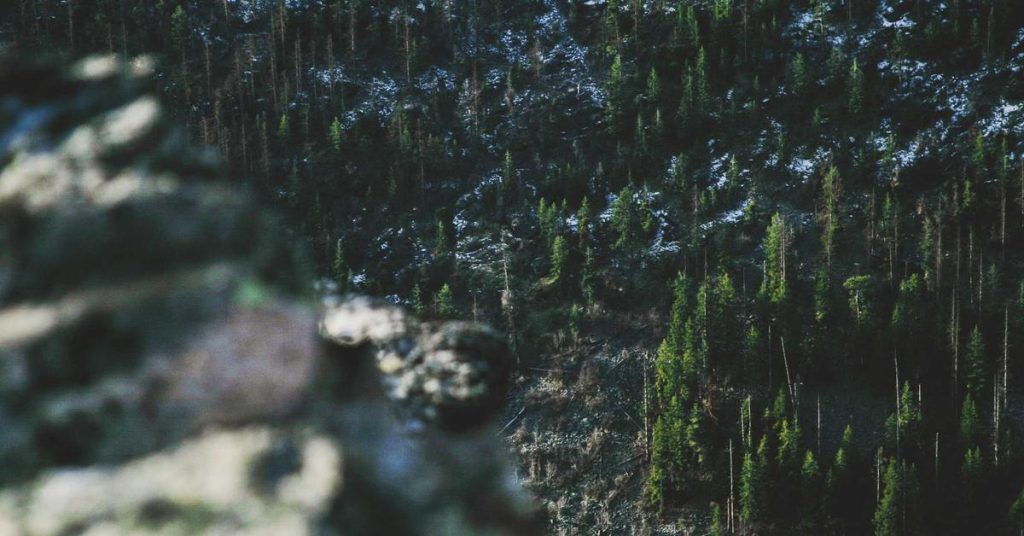 现代农田的智慧脉动：高效喷灌系统如何重塑农业灌溉