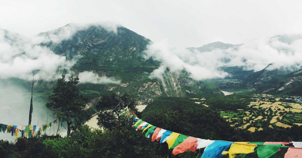 精准滋养：现代滴灌技术如何重塑农业与生态