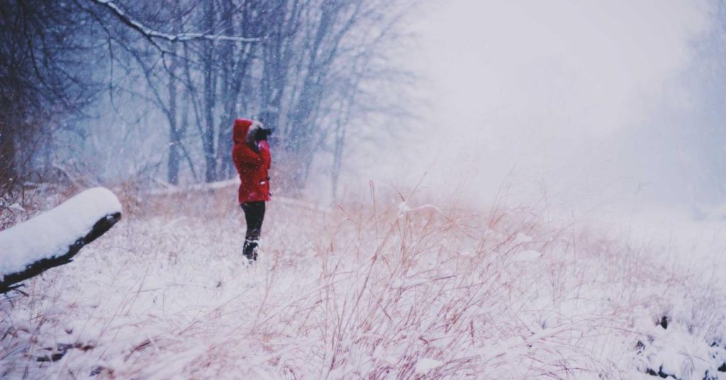 高效节水的隐形助手：现代农业中的滴灌带技术解析