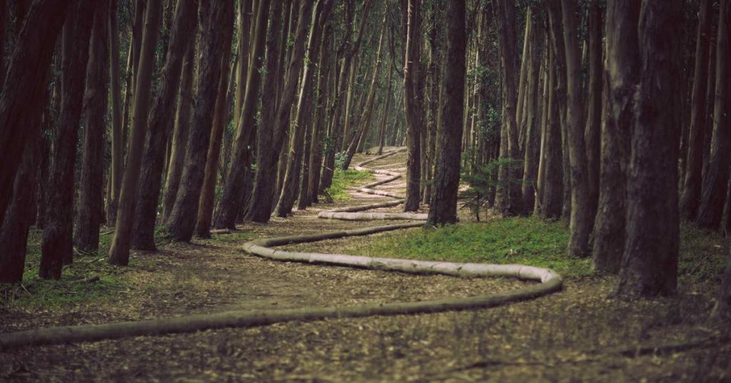 现代农业的隐形动脉：高效节水的滴灌带技术解析