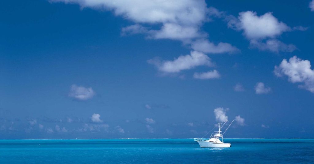 现代农业的隐形动脉：滴灌带如何重塑农田灌溉格局