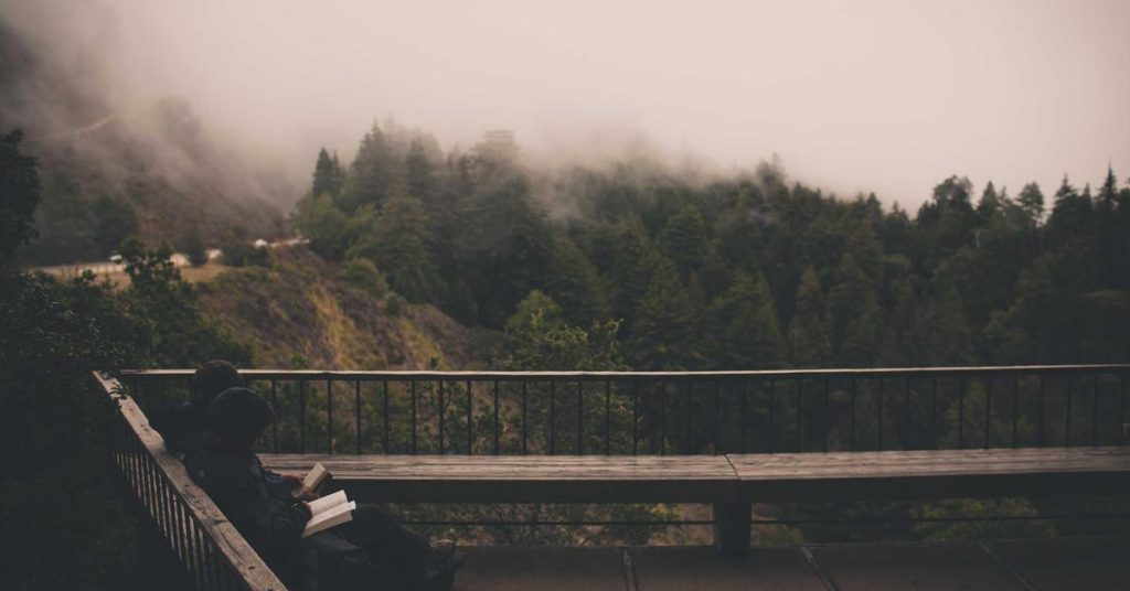 高效节水背后的智慧：滴灌带如何重塑现代农业