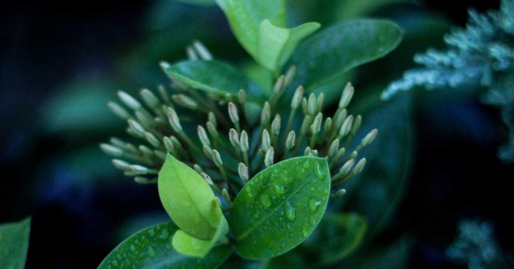 从荒漠到绿洲：一场关于水与生命的精准革命