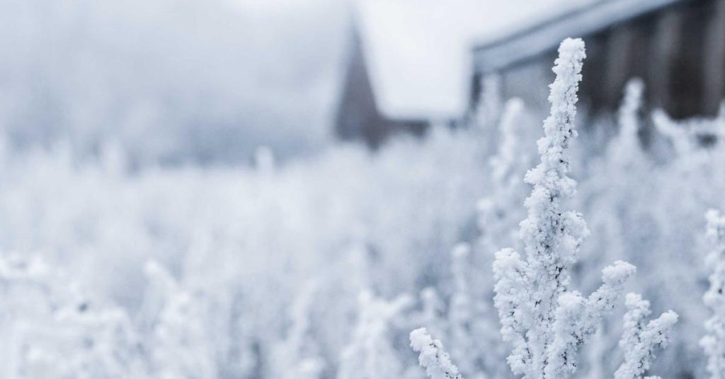 现代农田的智慧之雨：高效喷灌系统的应用与选择指南