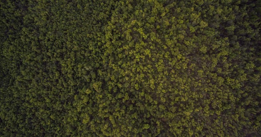 现代农田的智慧之雨：高效喷灌系统的应用与选择指南