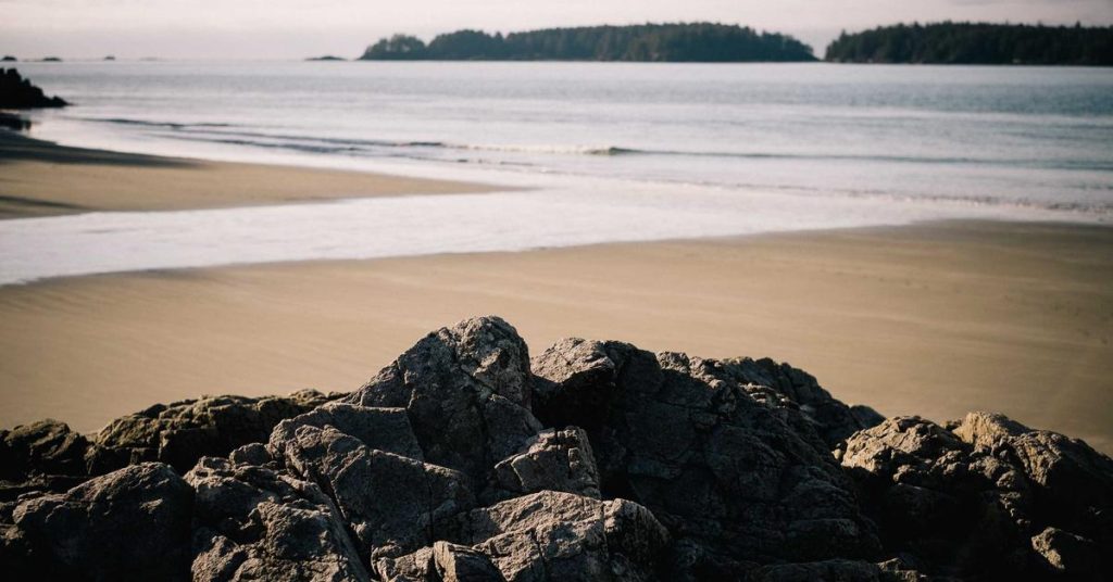 现代农田的智慧之雨：高效喷灌系统的应用与选择指南
