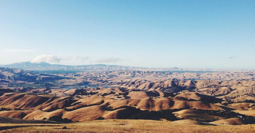 现代农业的智慧之雨：高效喷灌系统的原理与应用