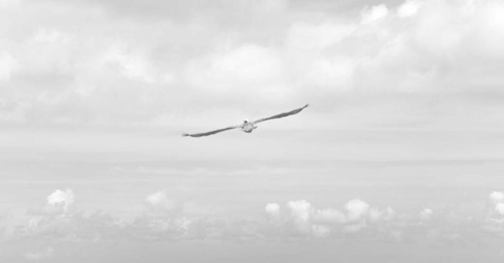 精准润物细无声：现代滴灌技术如何重塑农业与生态