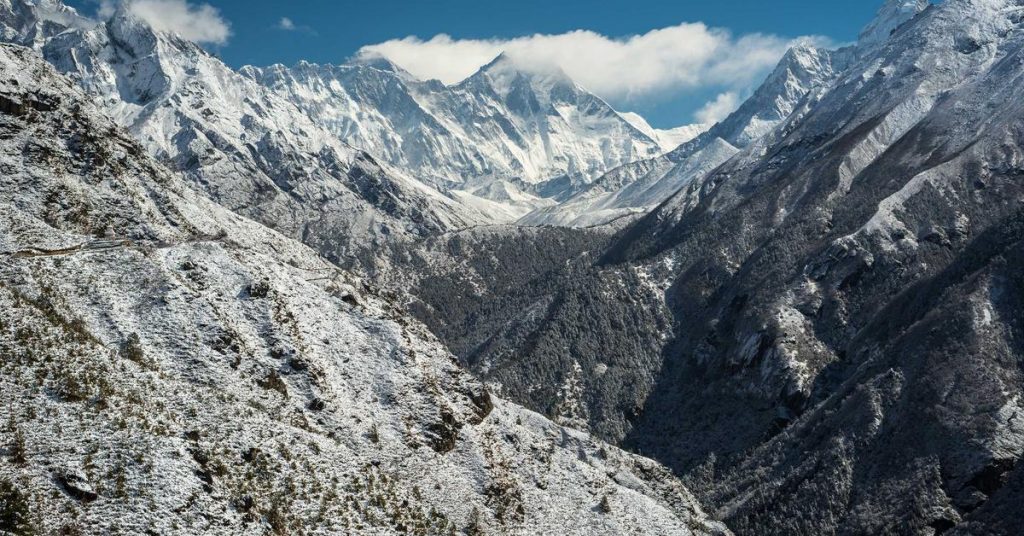 精准滋养：现代滴灌技术如何重塑农业与节水未来