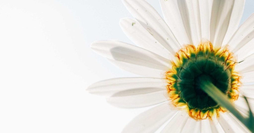 智慧农业的隐形脉络：滴灌带如何重塑现代农田灌溉