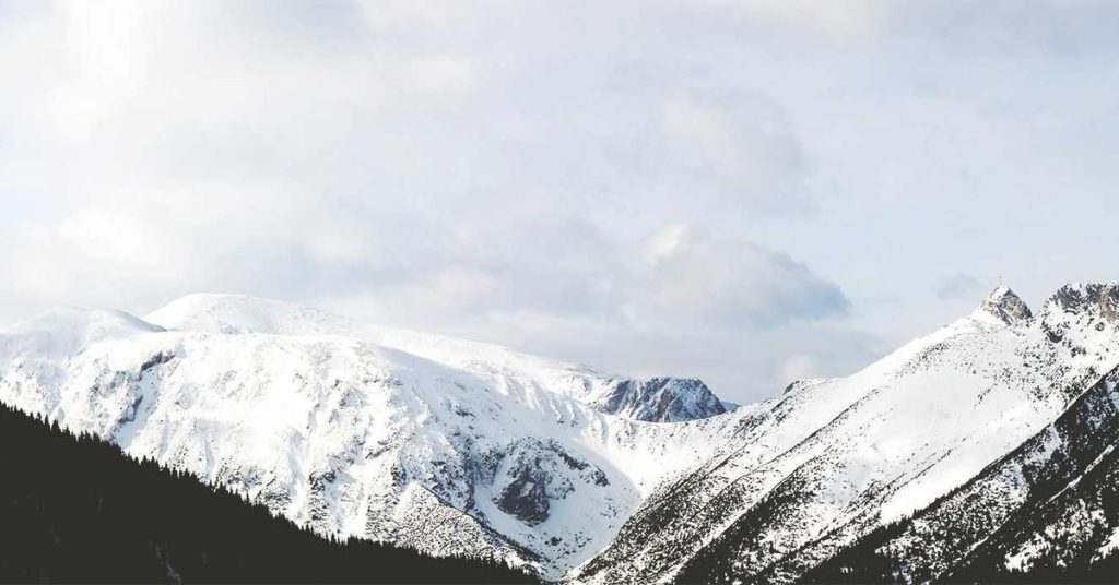 智慧农业的隐形动脉：滴灌带如何重塑现代农田灌溉