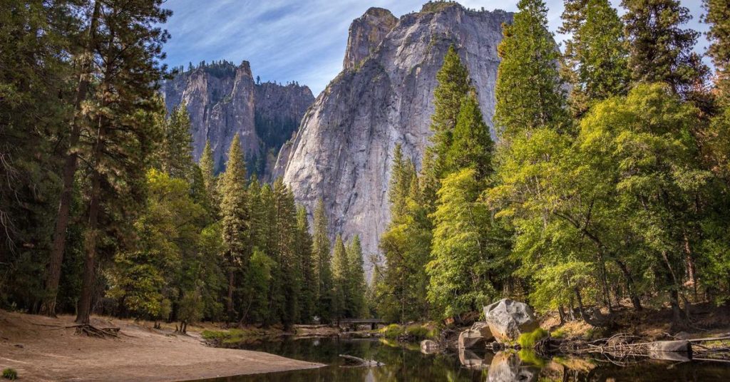 精打细算的智慧：现代滴灌技术如何重塑农业与节水未来