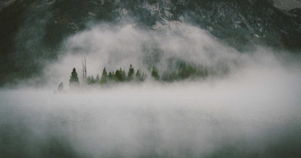 精准滋养：现代滴灌技术如何重塑农业与生态