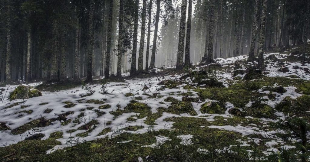 智慧水脉：济南节水灌溉设备的创新与应用实践