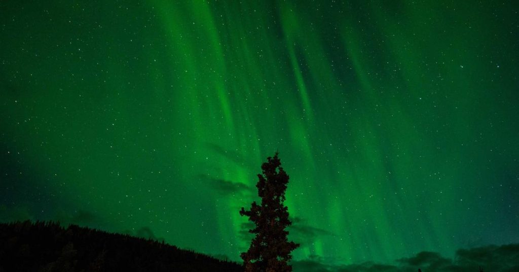 现代农业的隐形动脉：滴灌带如何重塑农田节水格局