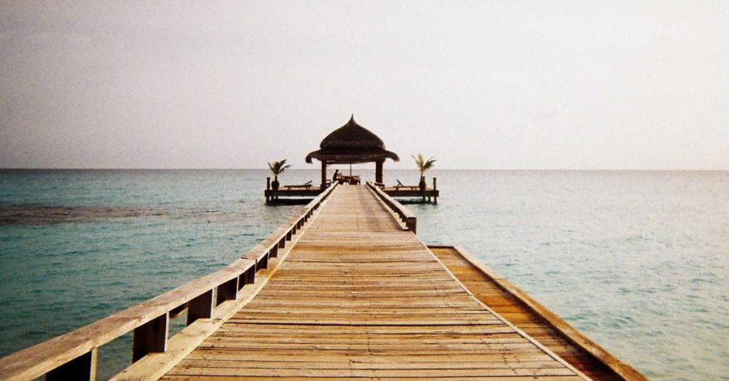 现代农业的隐形动脉：滴灌带如何重塑农田节水革命