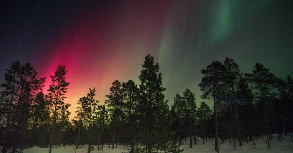 精准滋养：现代滴灌技术如何重塑农业与生态