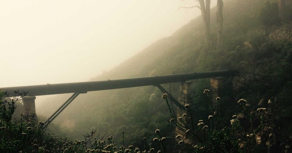 高效节水背后的精密网络：滴灌带技术如何重塑现代农业