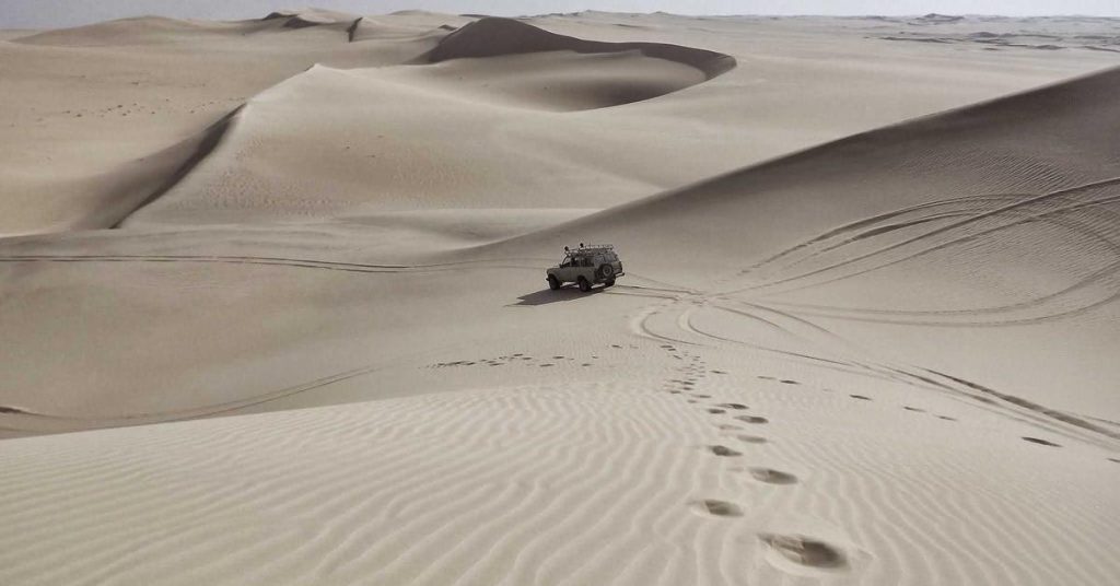 高效节水农业的隐形功臣：滴灌带技术全解析