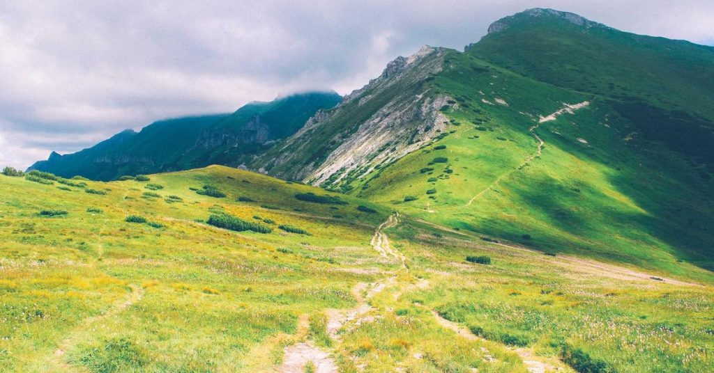 现代农田的智慧之雨：高效喷灌系统的原理、优势与应用指南