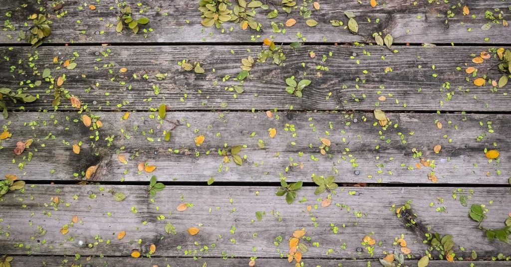 精准灌溉的隐形脉络：滴灌带如何重塑现代农业节水格局