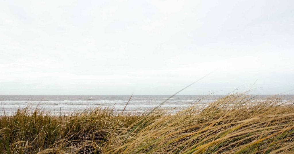 现代农业的隐形动脉：滴灌带如何重塑农田水利格局