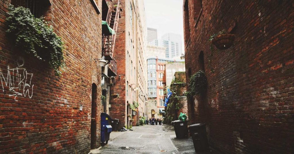 精妙的水资源管理艺术：滴灌技术如何重塑现代农业