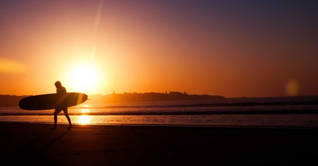 现代农田的智慧脉动：高效喷灌技术全解析