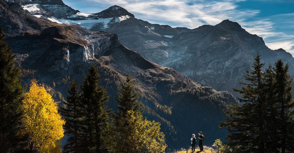 现代农业的隐形动脉：滴灌带如何重塑农田灌溉