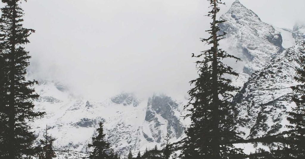 高效节水的隐形功臣：现代农业中的滴灌带技术解析