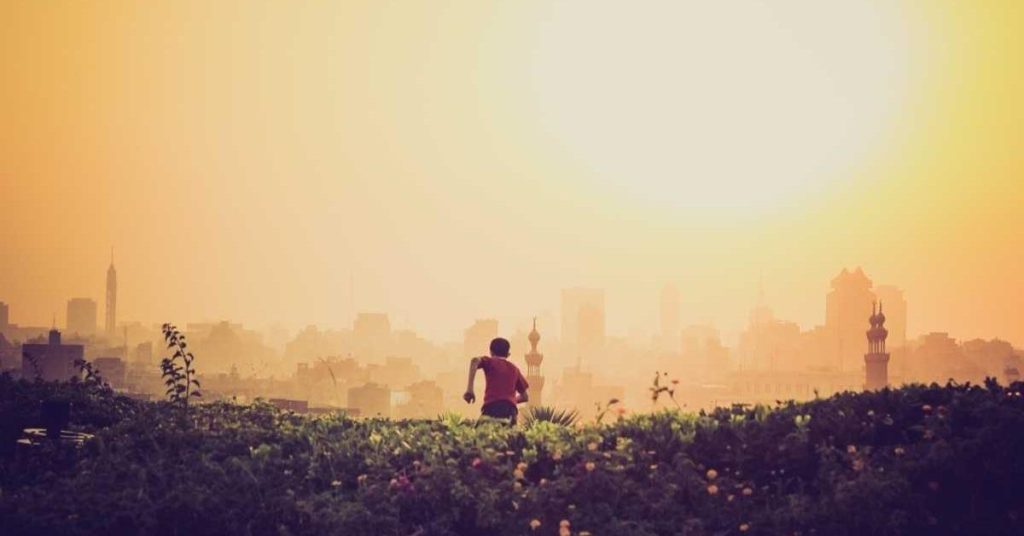 现代农业的智慧之雨：高效喷灌系统的应用与未来