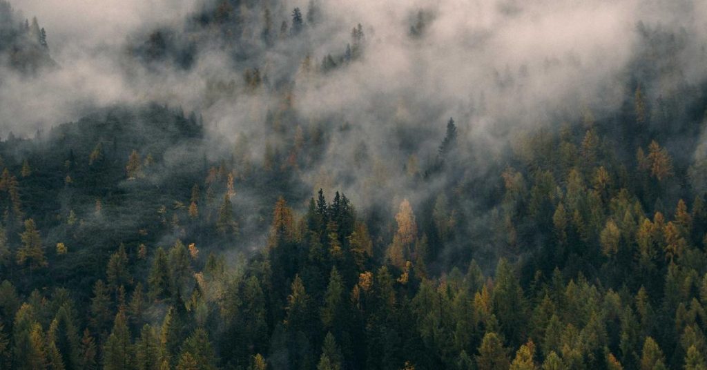 现代农业的智慧之雨：高效喷灌系统全解析