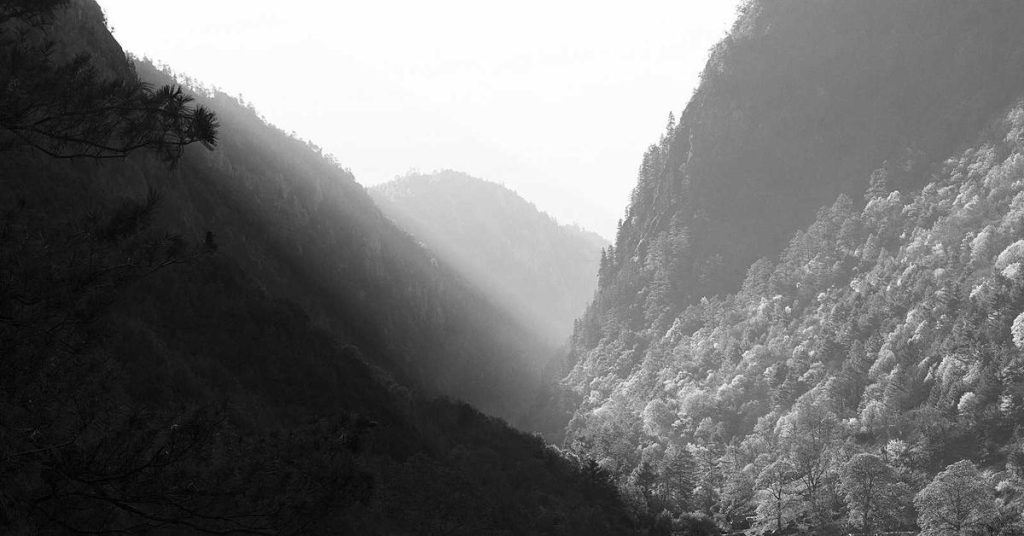 现代农田的智慧之雨：高效喷灌系统的应用与选择指南