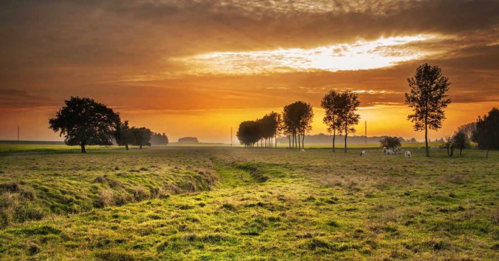 现代农业的智慧之雨：高效喷灌系统的全面解析与应用