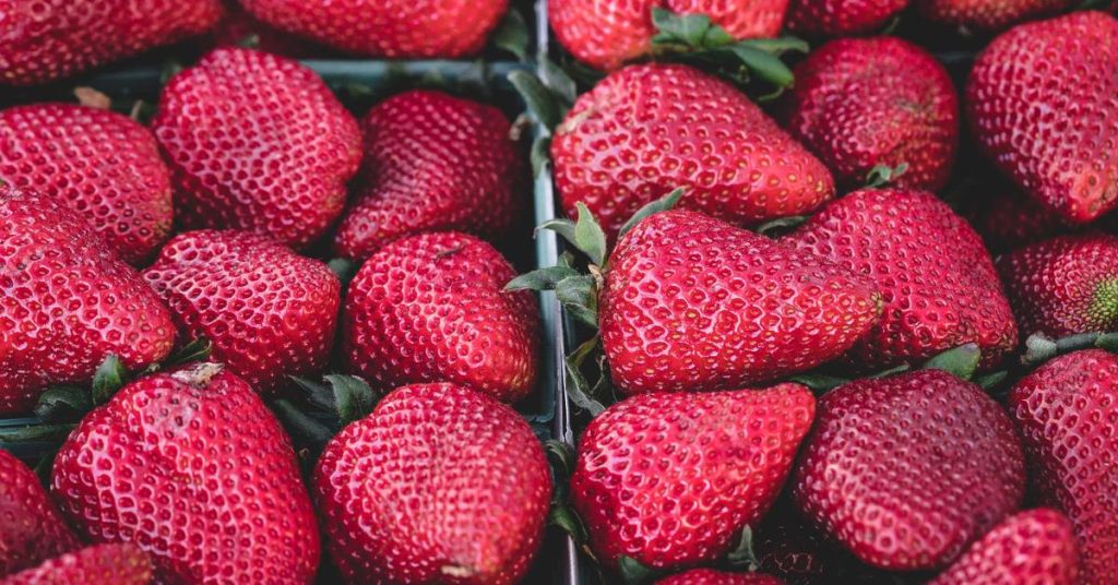 现代农业的智慧之雨：高效喷灌系统的原理、优势与应用指南