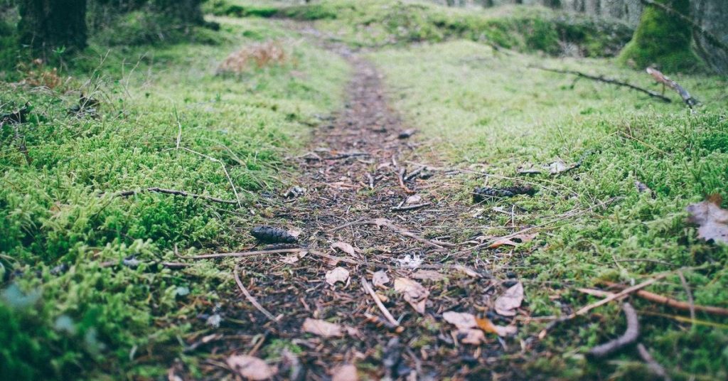 高效节水灌溉系统：从设备选型到精准施工的全流程指南