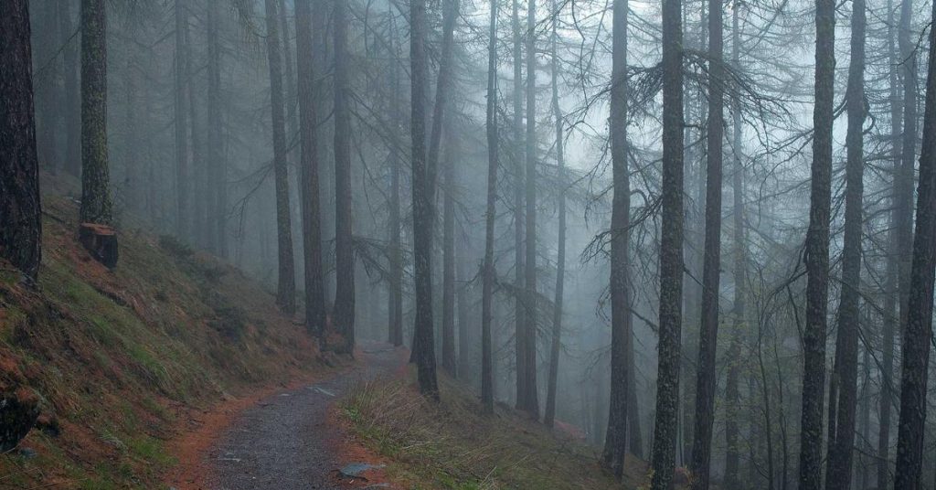 精准润物细无声：现代滴灌技术如何重塑农业与生态